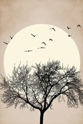 Εικονογράφηση Autumn Dreamers, Kubistika