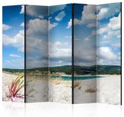 Διαχωριστικό με 5 τμήματα - Beach on the Costa da Morte II [Room Dividers] 225x172