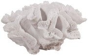 Διακοσμητικό Κοράλλι 74991 White Artekko Ρητίνη