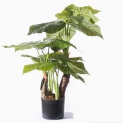 Supergreens Τεχνητό Φυτό Αλοκάσια Elephant Ears Πράσινο 80 εκ