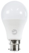 GloboStar® 60051 Λάμπα LED B22 A60 Γλόμπος 10W 1000lm 360° AC 220-240V IP20 Φ6 x Υ11cm Ψυχρό Λευκό 6000K - 3 Χρόνια Εγγύηση