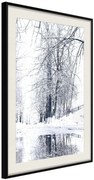 Αφίσα - Snowy Park - 40x60 - Μαύρο - Με πασπαρτού