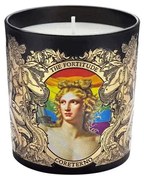 Αρωματικό Κερί The Fortitude CRT-APH09 250gr Multi Coreterno Παραφίνη