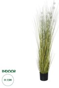 GloboStar® Artificial Garden ERIOPHORUM ANGUSTIFOLIUM COTTON GRASS 20073 Τεχνητό Διακοσμητικό Φυτό Γρασίδι του Βαμβακιού Υ150cm