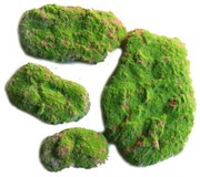 Supergreens Συσκευασία Τεχνητού Moss