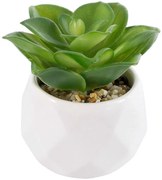 Τεχνητό Φυτό Σε Κασπώ Echeveria 21003 Φ8x8cm Green-White GloboStar Πηλός,Πολυαιθυλένιο