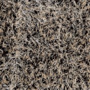 Μοκέτα Shaggy Prisma Espresso Ns Carpets 400X