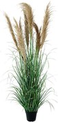 Τεχνητό Φυτό Σε Γλάστρα 0041-223-003 43x43x150cm Brown-Green Plastic
