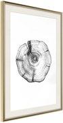 Αφίσα - Tree Rings - 40x60 - Χρυσό - Με πασπαρτού