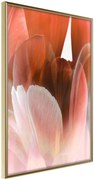 Αφίσα - Tulip Petals - 40x60 - Χρυσό - Χωρίς πασπαρτού