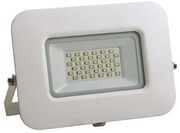 Προβολέας LED 30W 6500K Αλουμινίου IP65 PLUS Eurolamp-147-69322-Λευκό 147-69322