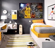 Πίνακας σε καμβά NBA Lebron James KNV729 30cm x 40cm