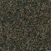 Μοκέτα Taurus 601 Brown 200X