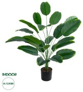 GloboStar® Artificial Garden YOUNG BANANA 20916 Διακοσμητικό Φυτό Νεαρή Μπανανιά Υ80cm