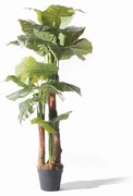Supergreens Τεχνητό Δέντρο Αλοκάσια Elephant Ears Πράσινο 135 εκ