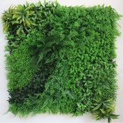 Τεχνητή Φυλλωσιά Φτέρη Με Baby Tooth Moss 6681-7 100x100cm Green Supergreens 100X100cm