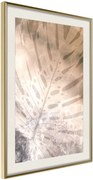 Αφίσα - Monstera of Dreams - 20x30 - Χρυσό - Με πασπαρτού