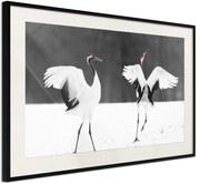 Αφίσα - Bird Date - 60x40 - Μαύρο - Με πασπαρτού