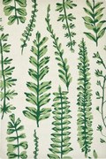 Χαλί Ferns 125907 Juniper Ivory-Green Scion 140X200cm