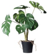 Τεχνητό Φυτό Μονστέρα Minima 1460-6 27x27x35cm Green Supergreens Polyethylene