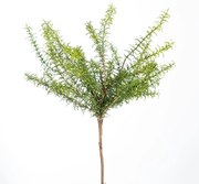 Foliage - Branch SILK-KA 61cm θάμνος 122197-GR