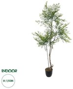 Artificial Garden GREEN NANDINA PLANT 20965 Διακοσμητικό Φυτό Πράσινη Ναντίνα Φ66 x Υ150cm Globostar 20965