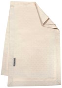 RUNNER ΤΡΑΠΕΖΑΡΙΑΣ 50x170cm GREENWICH POLO CLUB  - 3009
