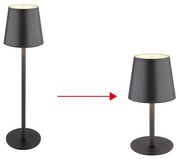 Φωτιστικό Επιτραπέζιο Globo Lighting VANNIE 58438G 3000K