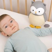 Παιχνίδι Με Ήχο (16x13x22) Baby To Love Κόλετ Η Κουκουβάγια BTL302597