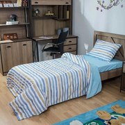 Art 203 Σετ σεντόνια μονά &amp; 1 Μαξιλαροθήκη BEAUTY HOME FL
