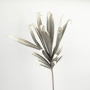 Κλαδί Με Φύλλα Foam 98εκ. Λευκό-Γκρι ESTHETI 758-12032