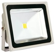 Προβολέας Led Γκρι Ip65 (Πράσινος) 20w