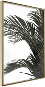 Αφίσα - Jungle Scent - 40x60 - Χρυσό - Χωρίς πασπαρτού