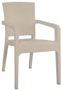 ΚΑΡΕΚΛΑ ΚΗΠΟΥ ARTELIBRE ΜΠΕΖ RATTAN 58X55X87CM