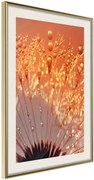 Αφίσα - Orange Breath of the Summer - 40x60 - Χρυσό - Με πασπαρτού