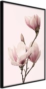 Αφίσα - Blooming Magnolias III - 40x60 - Μαύρο - Χωρίς πασπαρτού