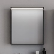 Καθρέπτης μπάνιου LAGUNA 60 LED Μαύρο 60x14x68 εκ. 60x14x68 εκ.