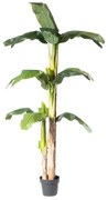 Τεχνητό Δέντρο Μπανανιά 200 εκ. 0190-6 Supergreens-0190-6-Πράσινο 0190-6