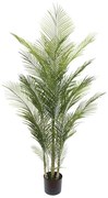 MarHome ΔΕΝΤΡΟ ΦΟΙΝΙΚΑΣ PALM ΠΡΑΣΙΝΟ ΣΕ ΓΛΑΣΤΡΑ - Υ175cm 2/KIB 04-10022