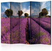 Διαχωριστικό με 5 τμήματα - Lavender field in Provence, France II [Room Dividers]