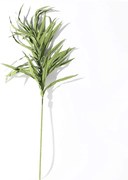 Τεχνητό Κλωνάρι Αρέκα 115x230cm Green Supergreens Πολυαιθυλένιο