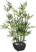 Φυτό σε γλάστρα Green pakoworld 43x34x67εκ