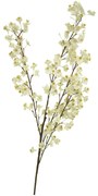 Flower Eladro Αμυγδαλιά 1239130-E2
