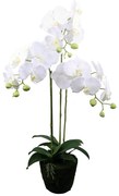 Τεχνητό Φυτό Ορχιδέα Phalaenopsis 6301-6 80cm White Supergreens Ύφασμα,Πλαστικό