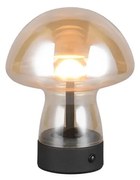 Φωτιστικό Επιτραπέζιο Reality Lighting -RL DOOLEY R54981113 Μελί (Amber) 3000K