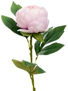 Κλαδί Παιώνια Λιλά 66εκ. iliadis 89812