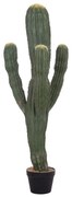 ΔΙΑΚΟΣΜΗΤΙΚΟ ΣΥΝΘΕΤΙΚΟ ΦΥΤΟ HM4746 ΚΑΚΤΟΣ ΜΕ ΓΛΑΣΤΡΑ 17,5x42x113Υεκ.