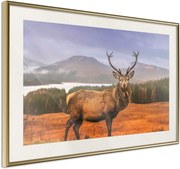 Αφίσα - Majestic Deer - 60x40 - Χρυσό - Με πασπαρτού