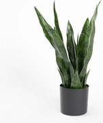Τεχνητό Φυτό Σανσεβιέρια Robusta 55 εκ. 9880-6 Supergreens-9880-6-Πράσινο 9880-6