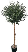 New plan OLIVE TREE  NP5807_150_22_UV ΥΨΟΣ 150cm Τεμαχιο